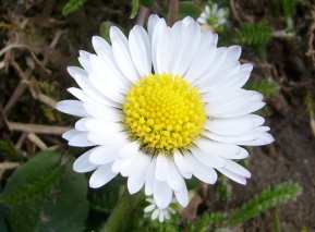 images/pic.jpg